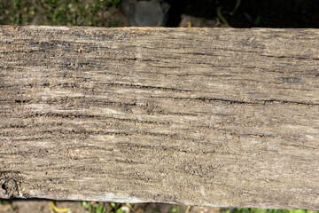 Grey wood texture and background. Wooden surface.