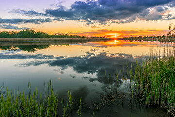 Fototapeta na wymiar Scenic view at beautiful spring sunset with reflection on a shiny lake with green reeds, bushes, grass, golden sun rays, calm water ,deep blue cloudy sky , glow on background, spring evening landscape