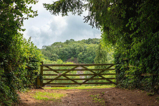 A wooden gate into a field with cheddar gorge walks in the background.  Image is framed with trees and foliage and shows the pathway leading up to the gate.