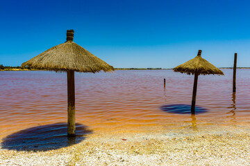 It's Wooden umbrella on the coast of the pink water lake, Senegal, Africa