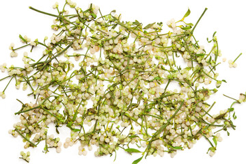 Mistletoe berries over white
