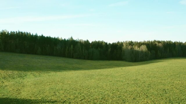 The drone&rsquo;s camera takes off from a field sown with dandelions, revealing a view of the vast expanses of fields and forests
