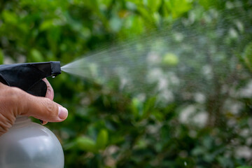 close up hand hold spray and spray bottle on green and defocused background.