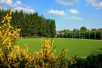 stade

