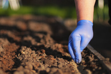 Organic Fertilizers in the Ground