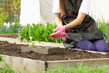 Wearing garden gloves