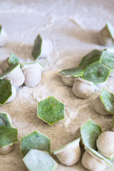 raw two-tone white and green dumplings with spinach, cheese or meat on a table