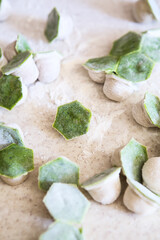 raw two-tone white and green dumplings with spinach, cheese or meat on a table
