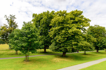 Phoenix park, Dublin, Ireland.