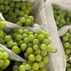 Fresh Green Grapes Asia Sweet Fruit in the Market
