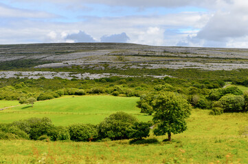 Fototapeta premium Amazing nature of Ireland.