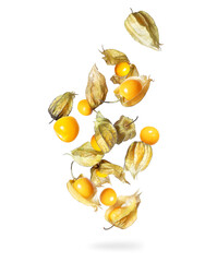 Physalis in the air on a white background