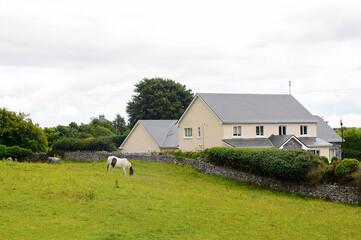 Beautiful nature of Ireland.
