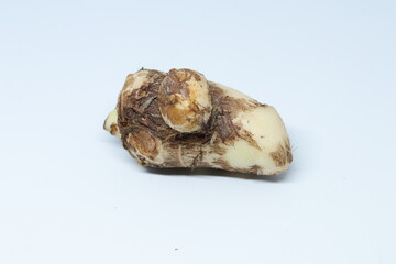 Taro or Colocasia esculenta on isolated white background.