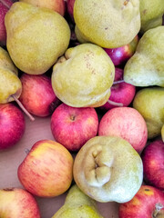 lemons and grapefruit in a cardboard box