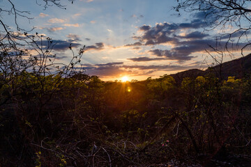 Sunset in the guayacanes forest