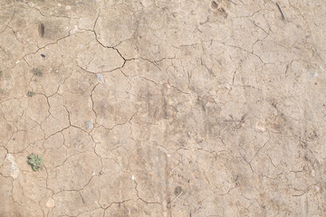dry cracked earth of buffy color
