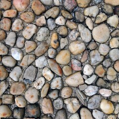 Stone Floor Texture