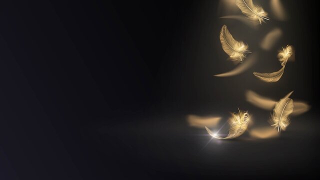 Golden feathers of a bird or angel fall from above in the dark, glamor and elegance