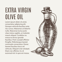 Hand drawn pencil bottle of extra virgin olive oil. Still life of olive oil in a glass jar and sprigs of fresh olives. Vector illustration. EPS 10.