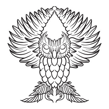 Vector Illustration of an owl | Owl vector, Owl Sketch, Owl Illustration, Owl Art