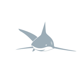Shark Vector | Shark Grey, Shark Bite, Simple Shark, Baby Shark, Illustration