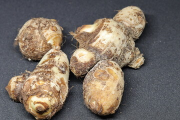 
Taro or Colocasia esculenta on isolated white background.
