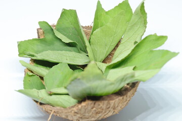 Rozelle leaves isolated on white background