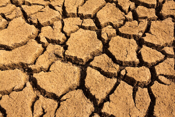 Textura tierra seca
