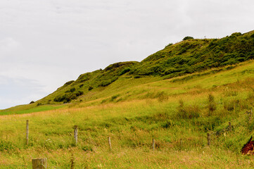 Obraz premium Carrick-a-Rede, Causeway Coast Route, National Trust. Northern Ireland