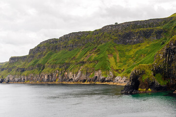 Nature of Carrick-a-Rede, Causeway Coast Route, National Trust. Northern Ireland