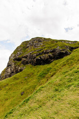 Nature of Carrick-a-Rede, Causeway Coast Route, National Trust. Northern Ireland