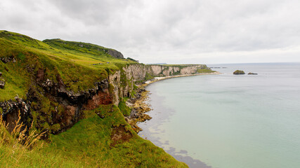 Nature of Carrick-a-Rede, Causeway Coast Route, National Trust. Northern Ireland