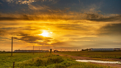 Sunset over the field. Photographed in summer.