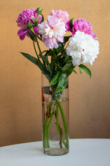 bouquet of pink and white peonies blooming