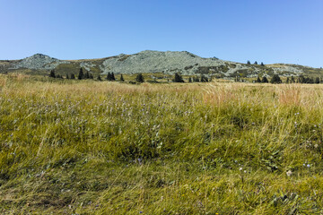 Autumn view of Vitosha Mountain, Sofia City Region, Bulgaria