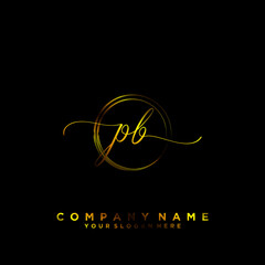 PB Initial handwriting logo vector	
