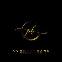 PB Initial handwriting logo vector	
