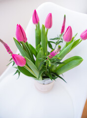Beautiful fresh bright pink tulips, place for text.