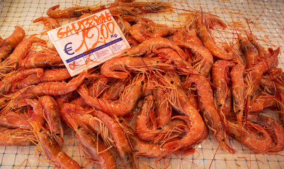 Red large prawns on a street counter with a price tag