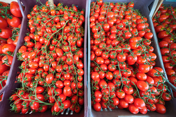 Abundance of cherry tomatoes at the street market in baskets