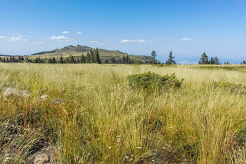 Autumn view of Vitosha Mountain, Sofia City Region, Bulgaria