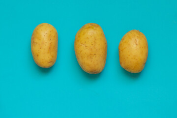 three raw young potatoes on a blue background close-up