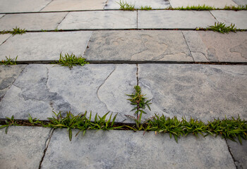 Grass tiles