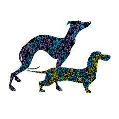 Fototapeta premium A silhouette of a pair of dogs.