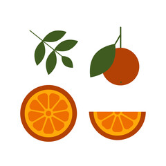 Orange vector set with slides peaces and leaves. Fresh citrus fruit for your design