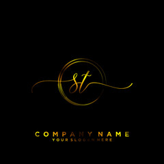 ST Initial handwriting logo vector	
