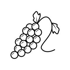 Grape fruit line icon