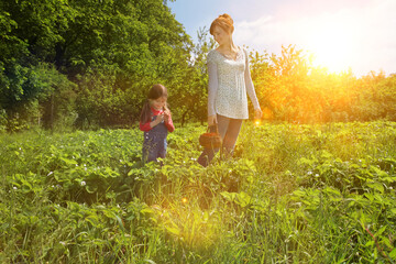 Mother and daughter in strawberry field