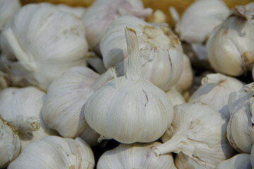 White garlic gloves in the grocery stock